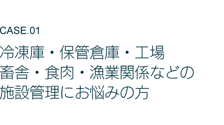 おすすめケース１